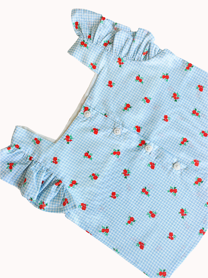 BLUSA DELFINA AZUL